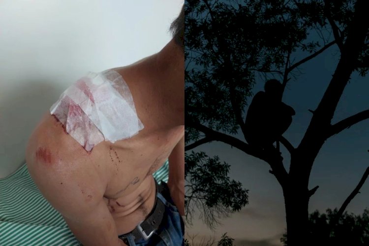 Cerejeiras: mulher esfaqueia marido e é presa ao tentar se esconder em árvore