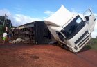 Carreta com bois tomba em Corumbiara e motorista fica ferido