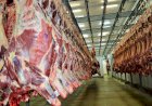 Rondônia se destaca internacionalmente na produção e exportação de carne bovina sob gestão Marcos Rocha