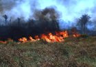 Polícia Federal prende dois por incêndios criminosos em áreas de vegetação em Rondônia