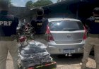 PRF apreende 32 quilos de skunk escondidos em caixa de som na BR-364, em Presidente Médici (RO)