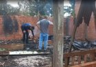 Tragédia em Rolim de Moura: irmãos de 2 e 5 anos morrem em incêndio que destruiu residência
