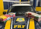 Polícia prende homem com mais de 600 gramas de maconha durante abordagem de trânsito em Vilhena