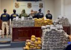 Polícia apreende cerca de 460 kg de drogas escondidos em veículo na BR-429