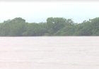 Barco vira no Rio Machado e deixa quatro pessoas desaparecidas em RO