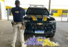 PRF apreende mais de 30 quilos de droga durante fiscalização na BR-364 em Ji-Paraná