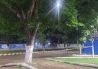Árvore com risco de queda mobiliza Bombeiros e causa preocupação em praça de Vilhena