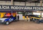 PRF apreende mais de 168 kg de skunk após perseguição na BR-429, em Alvorada D’Oeste