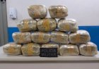 Passageiro é flagrado com droga escondida em malas e acaba preso em Vilhena