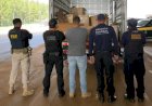 Operação integrada apreende cerca de 600 kg de droga escondida em carga na BR-364 em Vilhena