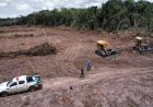 Justiça confirma cobrança de R$ 7,5 milhões contra ex-senador por desmatamento em Rondônia
