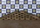 PRF encontra quase 40 kg de skunk escondidos em veículo na BR-364, em Pimenta Bueno