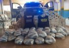 Ação integrada apreende cerca de 250 quilos de material suspeito de ser skunk em São Francisco do Guaporé