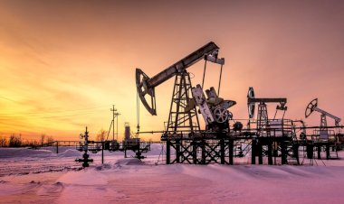 Reserva de petróleo na Bacia do Parecis entre RO e MT é arrematada em leilão da ANP