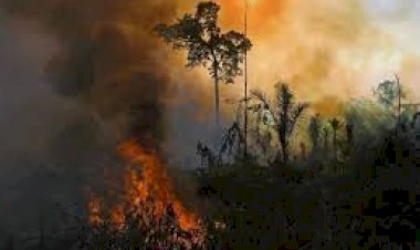 Homem é preso por provocar queimada ilegal durante operação da PF em Itapuã d’Oeste