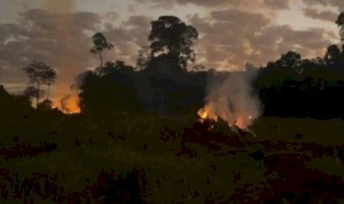 Polícia Federal prende cinco por queimadas ilegais em Rondônia em menos de uma semana