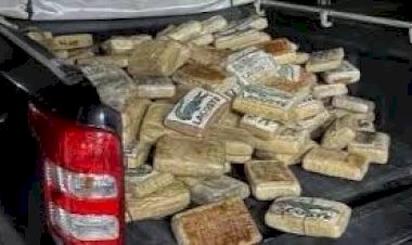 Caminhoneiro é flagrado com quase 500 kg de Skunk em posto na BR-364, em Vilhena