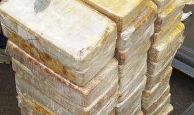 Mais de 50 kg de drogas são apreendidos após perseguição e acidente na RO-383, em Cacoal