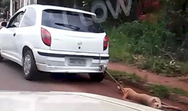 Cão é arrastado por veículo em Colorado do Oeste; imagens geram revolta