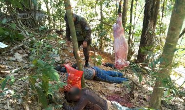 Operação ambiental flagra caça ilegal e apreende armas em floresta de Rondônia