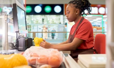 Rondônia tem mais de 400 vagas de emprego abertas em 14 municípios