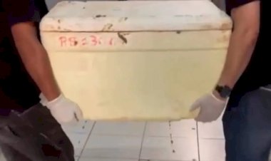 Três estrangeiros são presos por tráfico internacional de drogas em Porto Velho