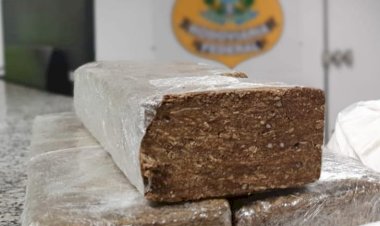 Caminhoneiro é preso com 15 tabletes de maconha escondidos em carga de mudança na BR-319