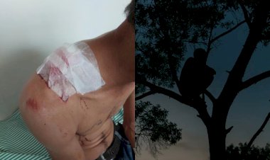 Cerejeiras: mulher esfaqueia marido e é presa ao tentar se esconder em árvore