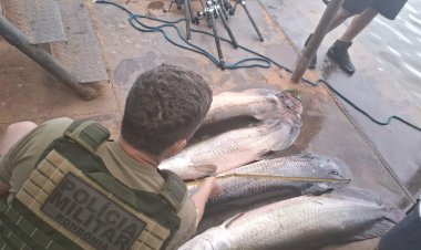 Operação no Rio Madeira apreende mais de 800 kg de pescado irregular e arma de fogo