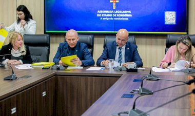 Comissão da Alero analisa projetos sobre inclusão social, educação e uso consciente da tecnologia