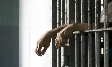 Polícia Civil desarticula grupo criminoso envolvido em série de roubos em Alvorada D’Oeste