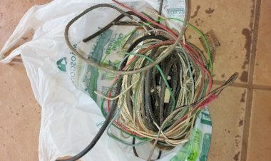 Polícia Militar prende homem por furto de equipamentos de telecomunicação em Guajará-Mirim