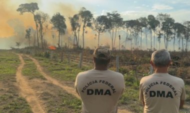 Mulher é presa pela Polícia Federal por provocar incêndio em área de floresta em Alto Paraíso (RO)