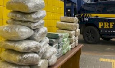 PRF apreende mais de 40 quilos de drogas e prende casal durante fiscalização em Vilhena