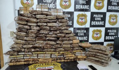 Denarc apreende mais de 100 kg de skunk e prende suspeito durante operação em Porto Velho