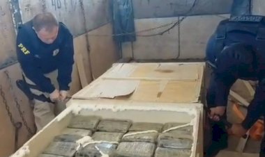 Carga com mais de 1 tonelada de skunk vinda de RO é apreendida na BR-364