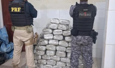 Operação apreende mais de 180 kg de skunk na BR-364, em Rondônia