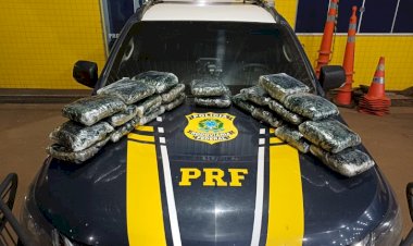 PRF apreende mais de 13 quilos de skunk em ônibus interestadual na BR-364 em Vilhena