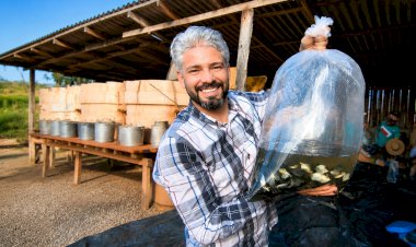 Wiveslando Neiva destaca parceria para fortalecer a produção rural em Alta Floresta D’Oeste