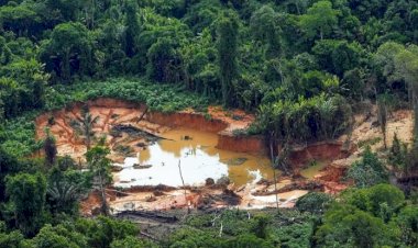 Justiça Federal torna réu suspeito de comandar garimpo ilegal de diamantes em terra indígena de Rondônia