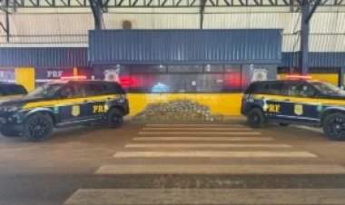 PRF apreende mais de 215 kg de skunk e haxixe escondidos em caminhão em Vilhena