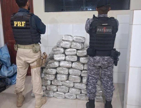 Operação apreende mais de 180 kg de skunk na BR-364, em Rondônia