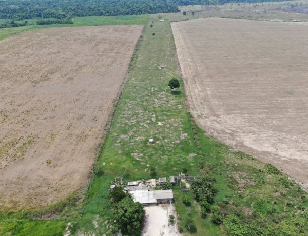 MPF aciona Justiça contra fazendeiros por uso de agrotóxicos e contaminação de indígenas em Rondônia