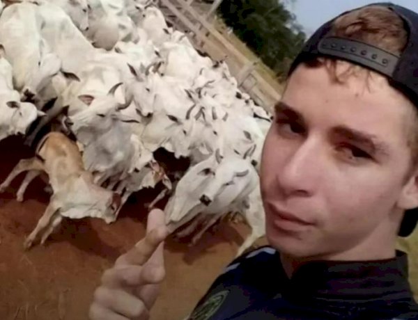 Jovem morre após sofrer choque elétrico durante colheita de café em Rondônia