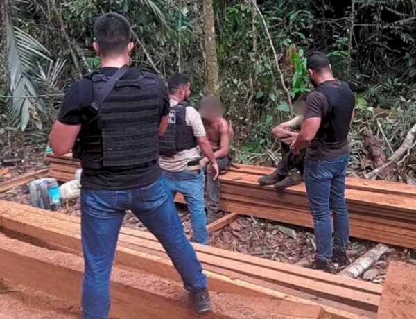 Polícia Civil flagra extração ilegal de castanheira e prende dois suspeitos em Nova Mamoré