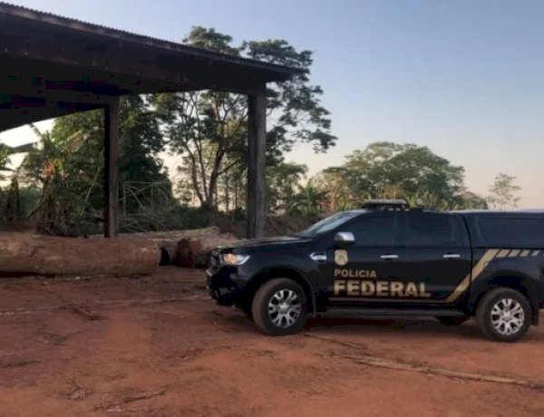 PF cumpre 19 mandados contra suspeitos de comércio ilegal de madeira em RO