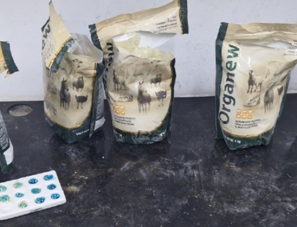 PF desarticula esquema de envio de aproximadamente 80 kg de cocaína pelos Correios em Rondônia