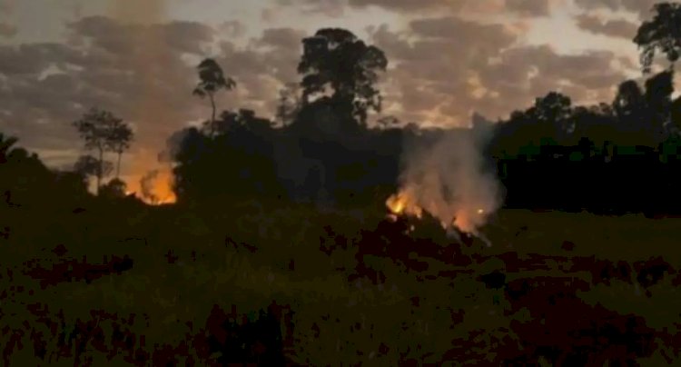 Polícia Federal prende cinco por queimadas ilegais em Rondônia em menos de uma semana