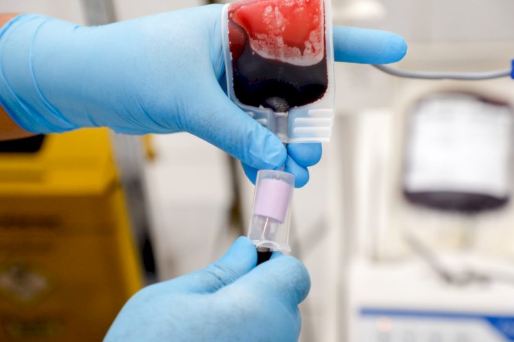 Fhemeron faz apelo por doações de sangue em Porto Velho: estoques críticos colocam vidas em risco
