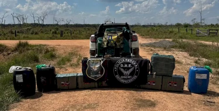 Polícia Militar apreende 500 kg de drogas em pista clandestina em Rolim de Moura